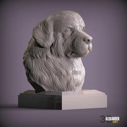 Newfoundland Dog Bust