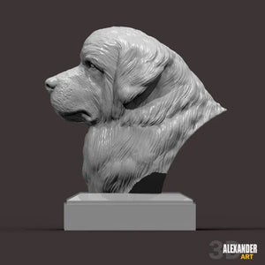 Newfoundland Dog Bust