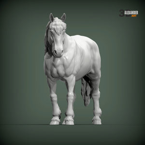 Percheron Horse