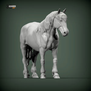 Percheron Horse