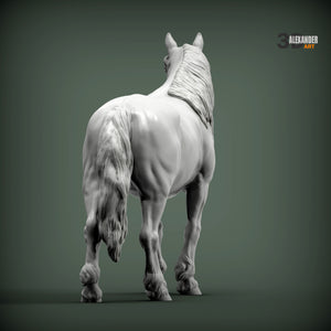 Percheron Horse