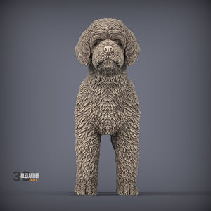 Portuguese Water Dog Sculpture