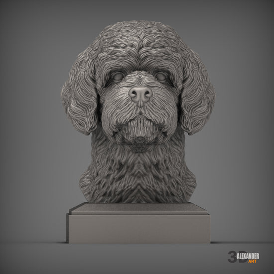 Portuguese Water Dog Bust