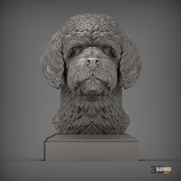 Portuguese Water Dog Bust