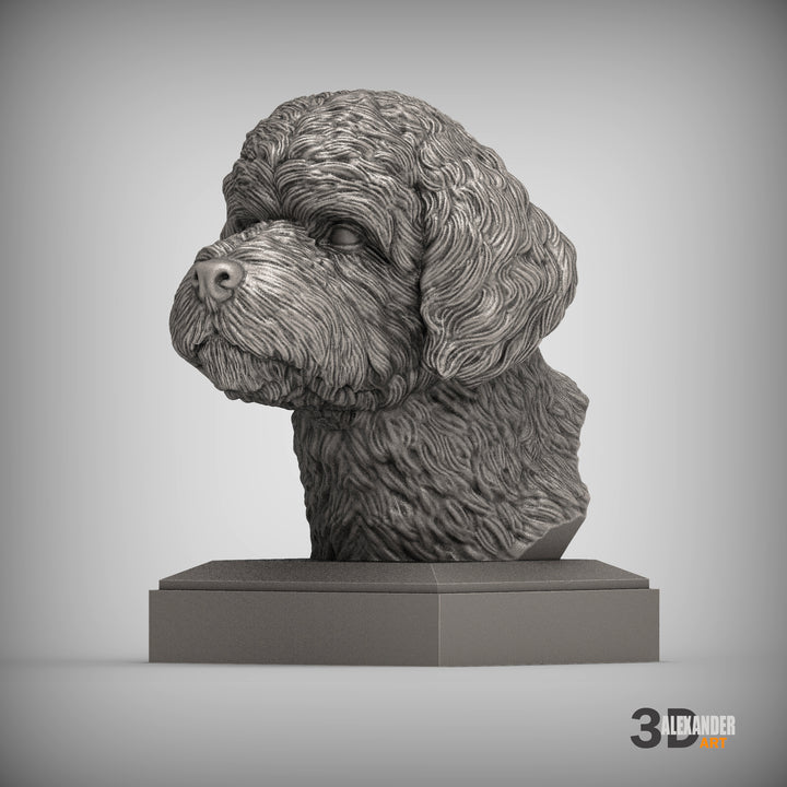 Portuguese Water Dog Bust
