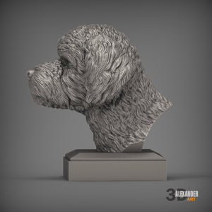 Portuguese Water Dog Bust