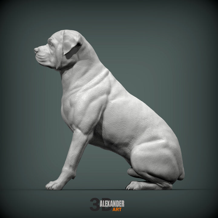 Rottweiler Sculpture