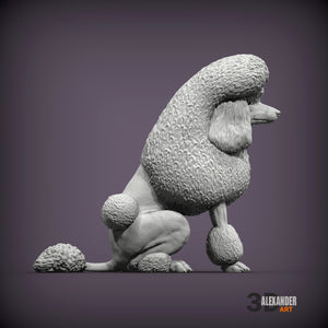 Standard Poodle Show Cut