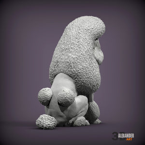 Standard Poodle Show Cut