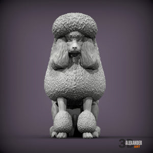 Standard Poodle Show Cut