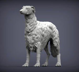 Russian Borzoi (Standing)