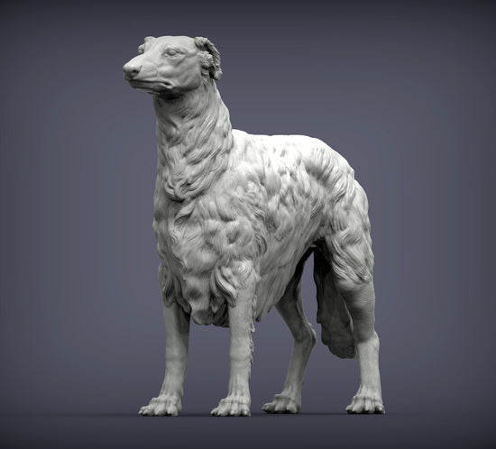 Russian Borzoi (Standing)
