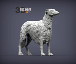 Russian Borzoi (Standing)