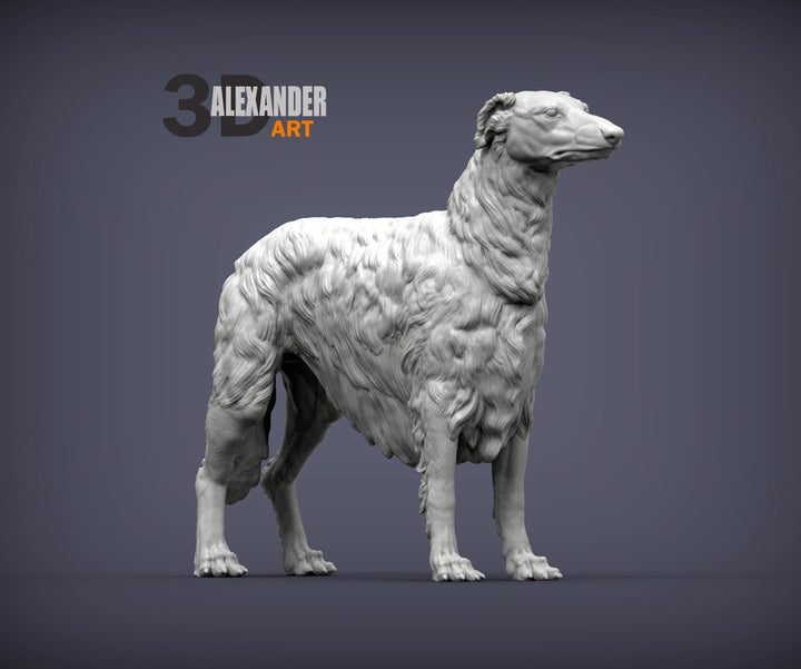 Russian Borzoi (Standing)