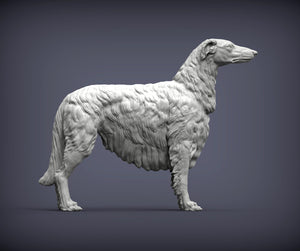 Russian Borzoi (Standing)