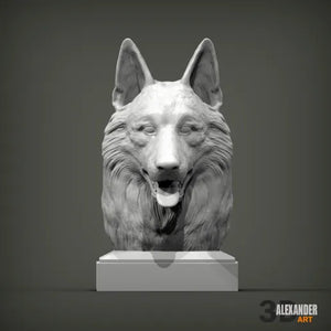 Swiss White Shepherd Bust