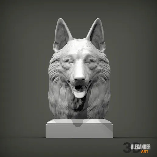 Swiss White Shepherd Bust