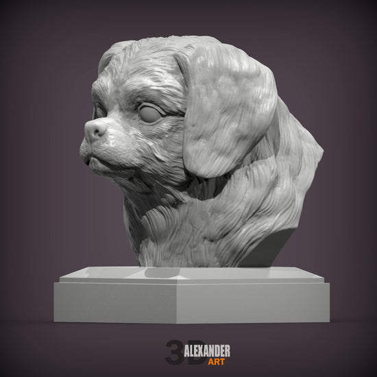 Tibetan Spaniel Bust