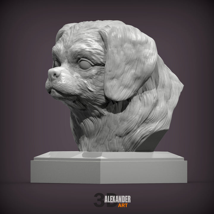 Tibetan Spaniel Bust