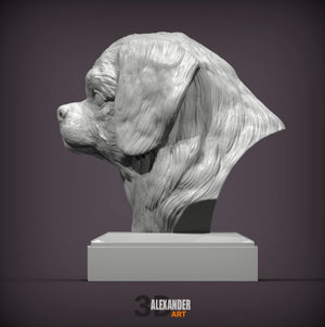 Tibetan Spaniel Bust