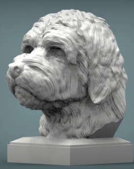 Goldendoodle Bust