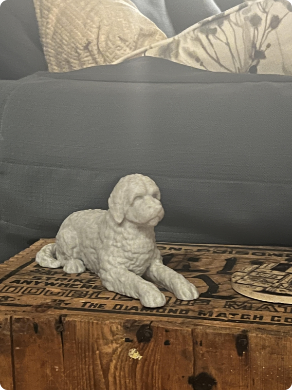 Customer Image