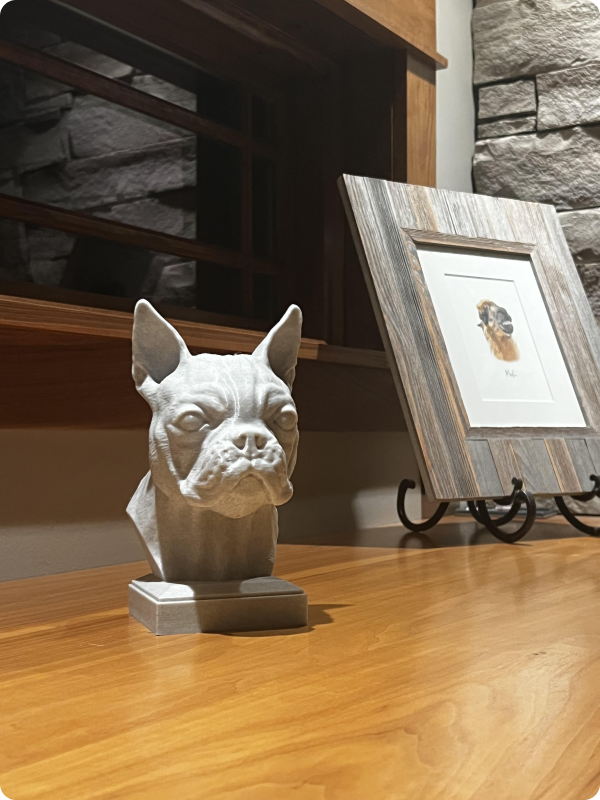 Customer Image