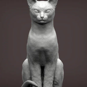 Abyssinian Cat