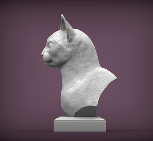 Abyssinian Cat Bust