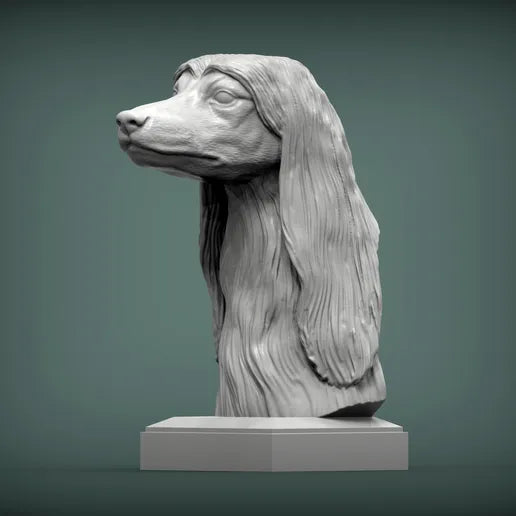 Afghan Hound
