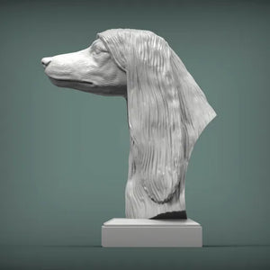 Afghan Hound