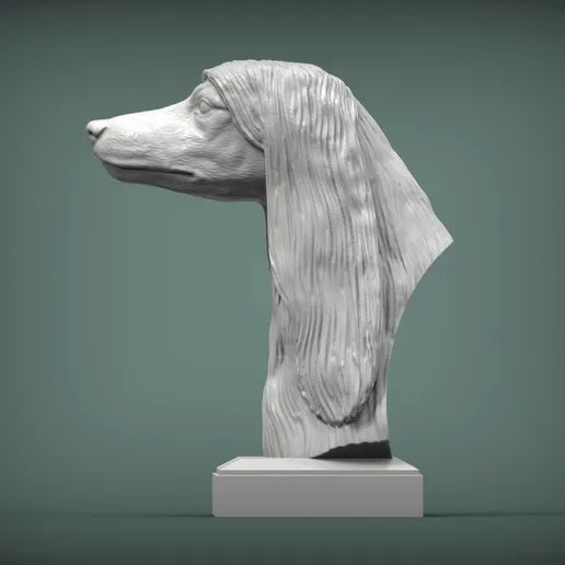 Afghan Hound