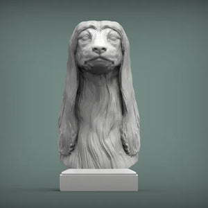 Afghan Hound