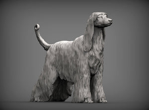 Afghan Hound Sculpture (Standing)
