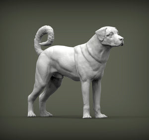 Anatolian Shepherd Sculpture (Standing)