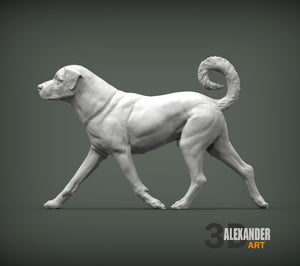 Anatolian Shepherd Sculpture (Standing)