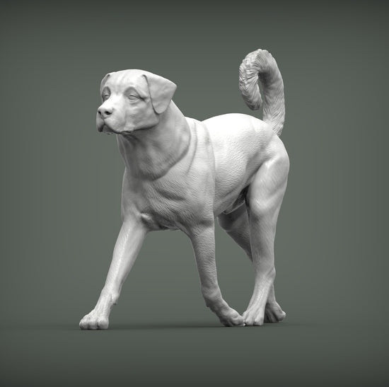 Anatolian Shepherd Sculpture (Standing)