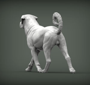 Anatolian Shepherd Sculpture (Standing)