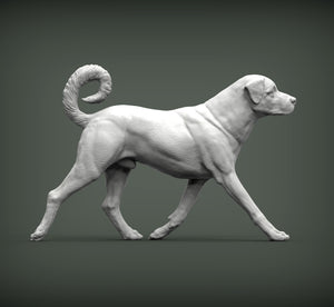Anatolian Shepherd Sculpture (Standing)