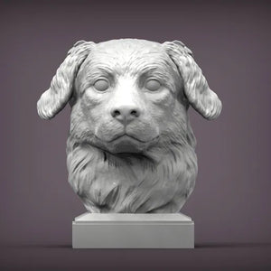 Australian Shepherd Bust