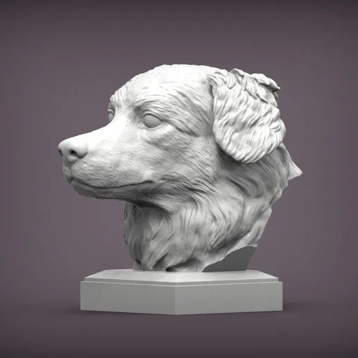 Australian Shepherd Bust