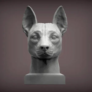 Basenji Bust