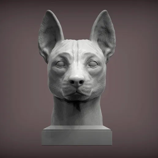 Basenji Bust