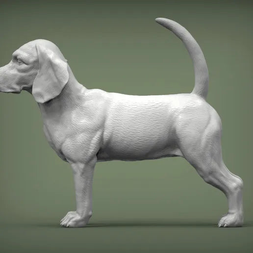 Beagle