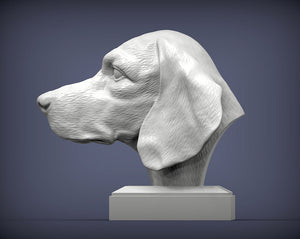 Beagle Bust