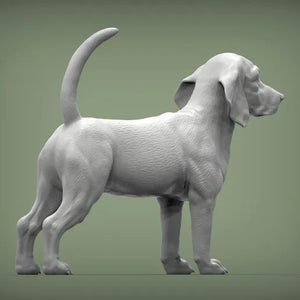 Beagle