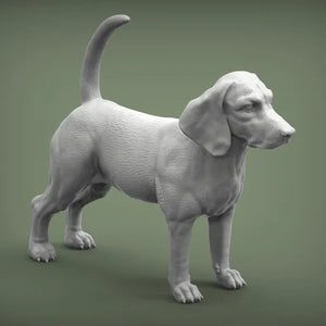 Beagle