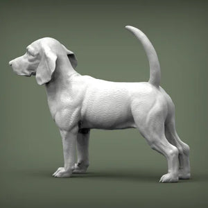 Beagle