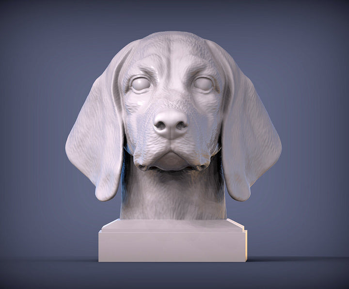 Beagle Bust