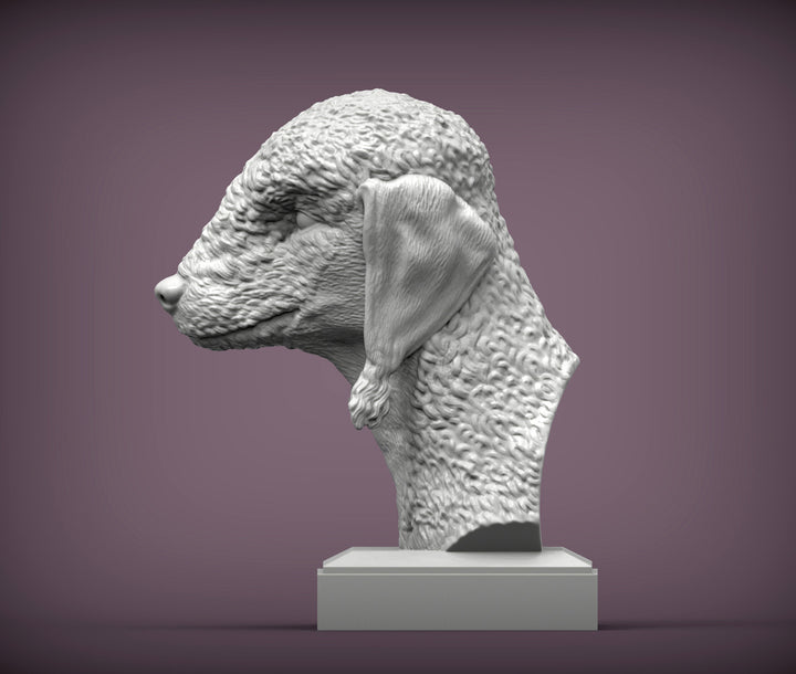 Bedlington Terrier Bust
